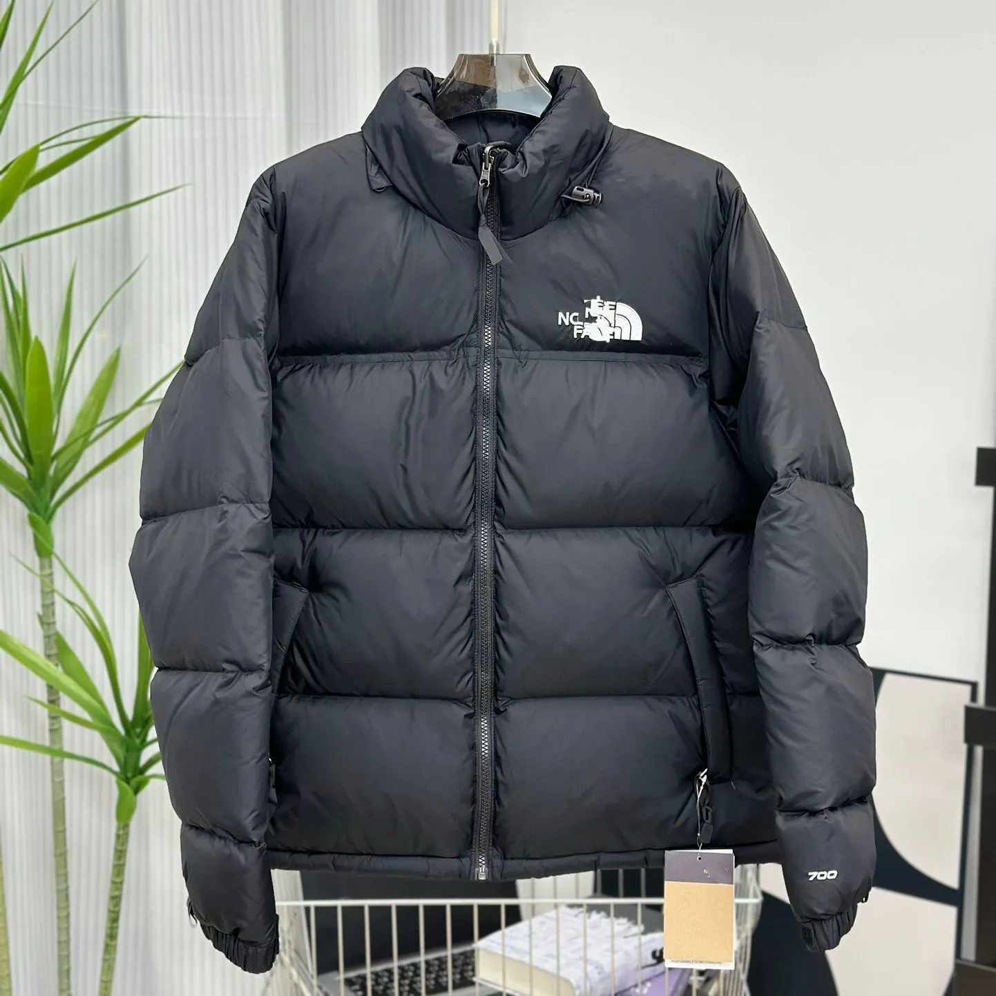 the north face jacket