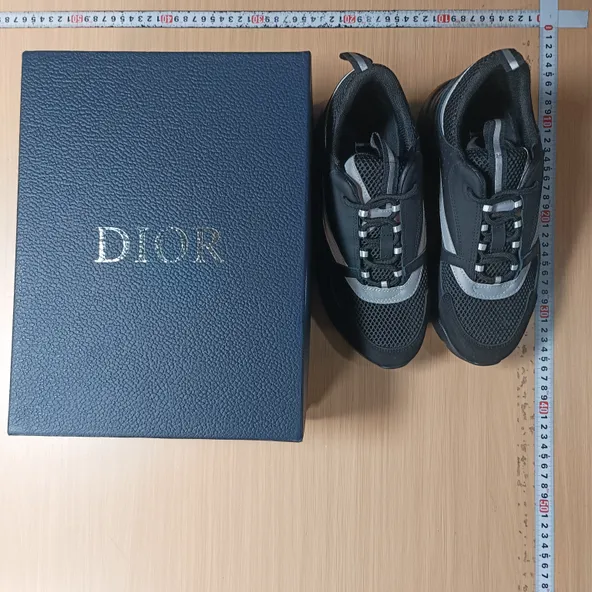 Dior B22